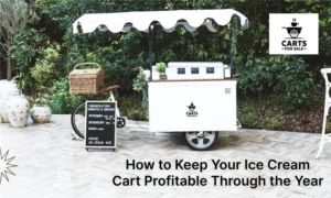 ice cream carts for sale